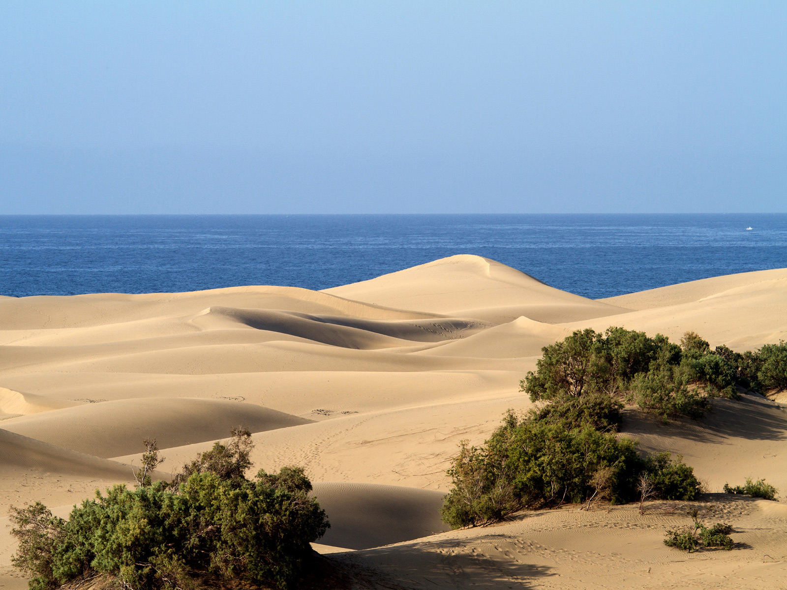 BI:JU Gran Canaria Ferienwohnung Maspalomas